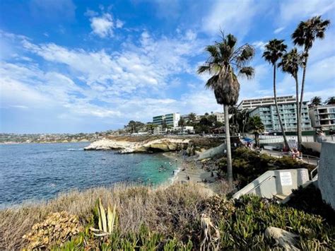 1100 coast blvd., la jolla, ca 92037|How to Get to La Jolla Cove 